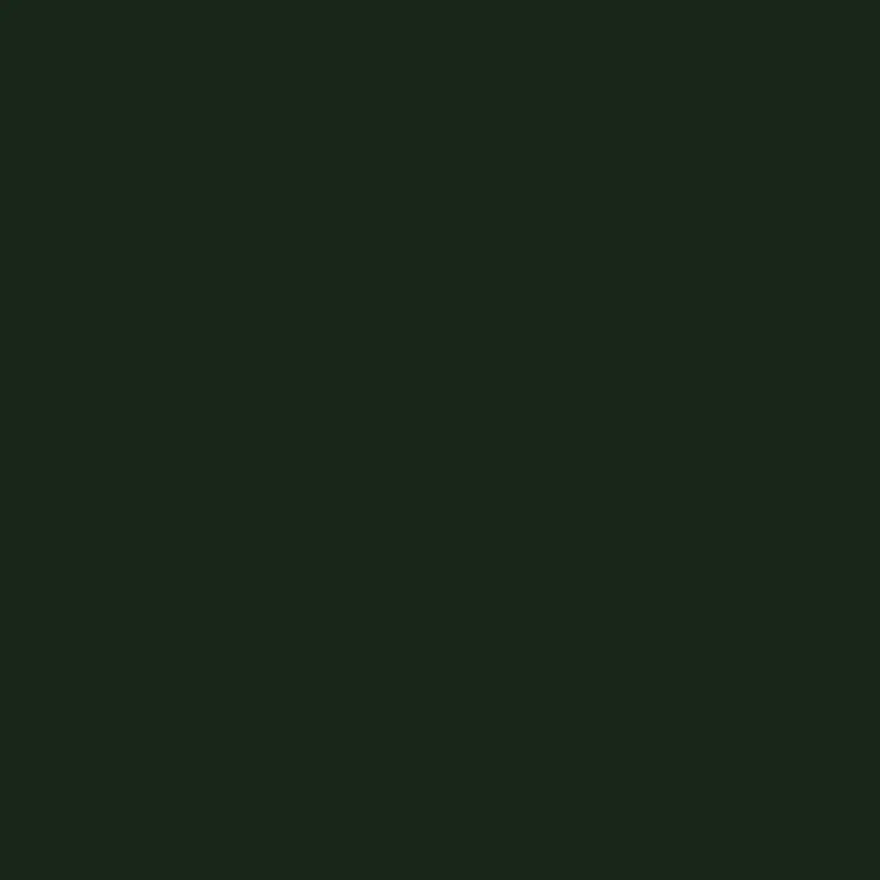 Чёрный 1113t