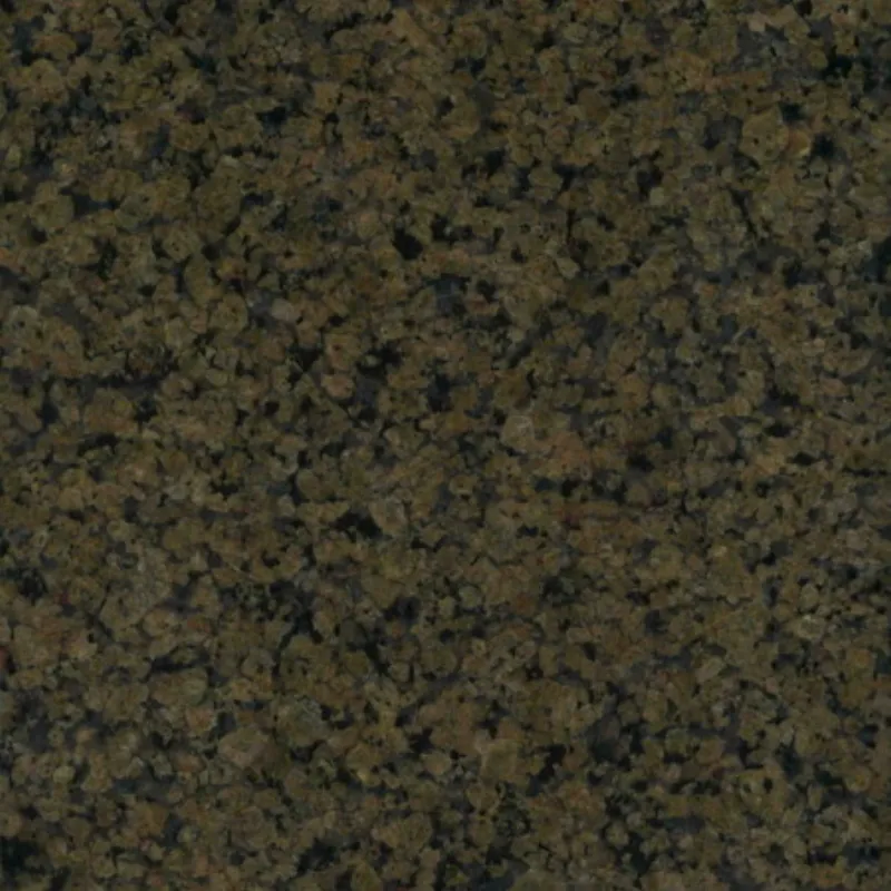 Tropical Brown